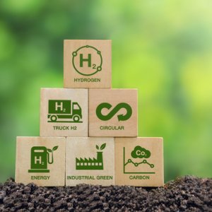 Nuevo Leon Faces Challenges in Energy Transition: México Evalúa