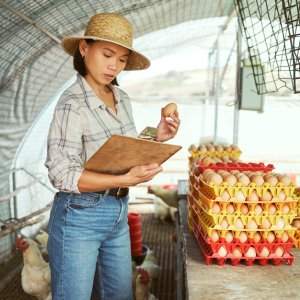 Caribbean Faces Challenges in Reducing Food Imports 