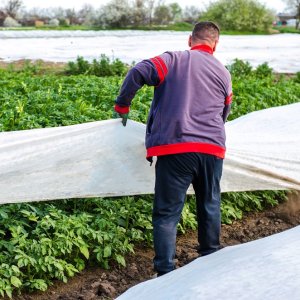 Mexico’s Protected Horticulture Sector Continues to Grow