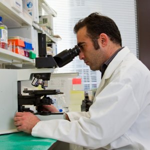 WHO Launches Framework for Investigating Pathogen Origins