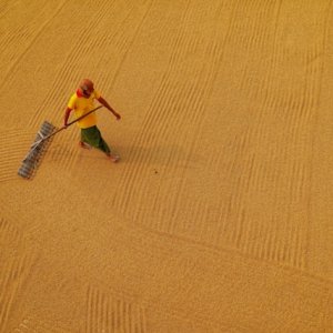 PayNow Program by XTM Supports Mexican Workers in the US