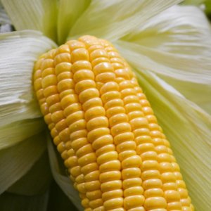 Gruma May Be Asked to Sell Mexican Plants to Boost Competition