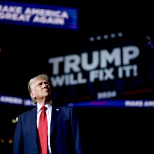 Trump's Return: No Major Disruptions for Renewable Energy, Mining