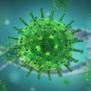 Surge in EU Bird Flu Cases Sparks Human Transmission Concerns