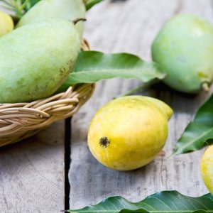 Mango Exports Poised for Growth in the US Market by 2025