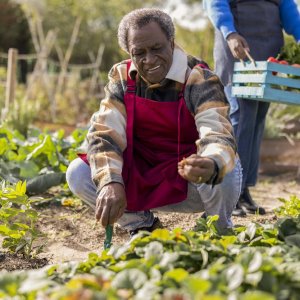 Food Sovereignty, Innovation Challenges: The Week in Agribusiness