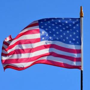 First Severe Bird Flu Case in US Highlights Evolving Risks