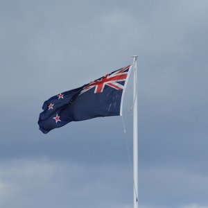 New Zealand Halts Poultry Exports After H7N6 Outbreak