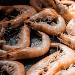 UNAM, TESE Create Sustainable Chitosan Extraction