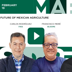 Investing in the Future of Mexican Agriculture
