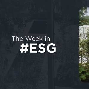 From Mangroves to E-Waste and Sustainable Shopping