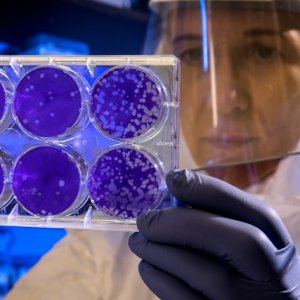 The Role of Women on Medicine Development in Latin America