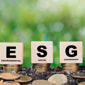 Santander Highlights ESG Investment Opportunities for Insurers