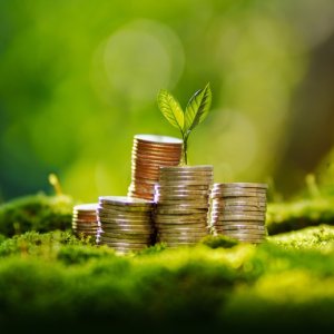 Global Sustainable Bond Issuance to Reach US$1 Trillion in 2025