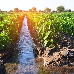 Kilimo to Restore Key Agricultural Watersheds in Mexico