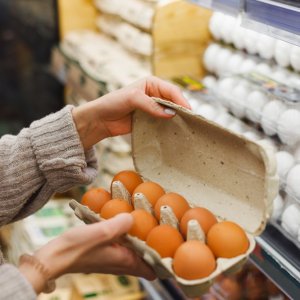 Egg Prices Soar in the US; Mexico’s Supply Remains Stable