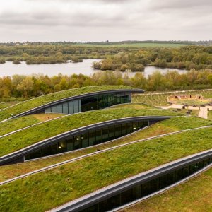 Slow Decarbonization Progress Threatens Climate Goals