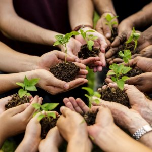 State of Mexico Signs Environmental Agreements 