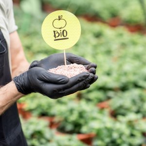 Mexico Advances Toward a Regulatory Framework for Bio-Inputs