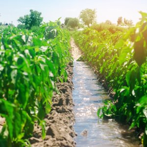 National Irrigation Modernization Program Advances 