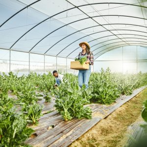 Green Tech Americas Drives Innovation in Agriculture