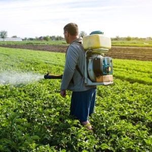 Mexico Moves Toward a New Decree to Ban Hazardous Pesticides