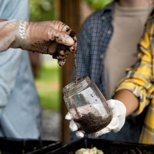 Mexico Eyes Regulation as Bioinputs Market Gains Ground