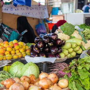 SADER, CONACCA Boost Direct Market Access for Producers