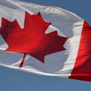 WTO Disputes Intensify as Canada, China Push Back on US Tariffs