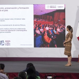 Sheinbaum to Invite Pope Leo XIV to Mexico / MSMEs Credit Push