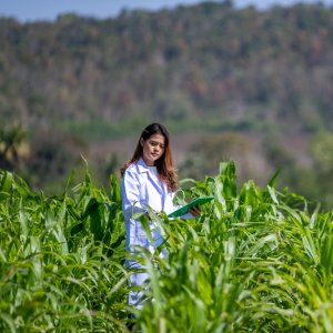 Mexico Reinforces Plant Health Leadership Amid Global Challenges