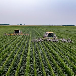 Mexico Agrifood Exports Reach US$31 Billion