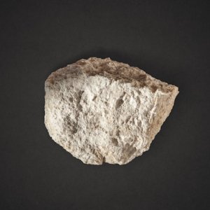 Mexico Proposes International Organization for Lithium Extraction