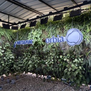 From Kibbutz to Fields: 60 Years of Drip, Mexico’s Opportunity