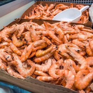 Mexico Secures US Certification for Wild Shrimp Exports