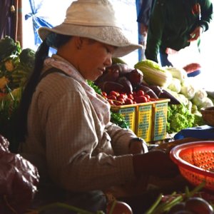 ILO Data Highlights Role of Non-Market Food Producers