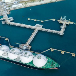 Ballenas o Gas Front Protests Mexico Pacific LNG Project