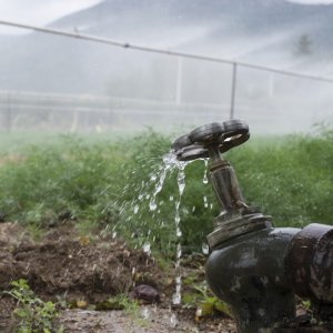 Google Funds Arable’s Irrigation Tech to Save Water in Carolinas