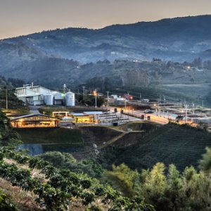 Starbucks Mexico Aims to Donate 5.6 Million Coffee Plants