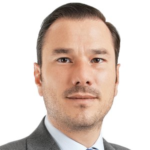 Mapping Mexico’s Carbon Offset Market, Incentive Landscape