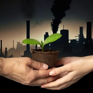 Microsoft to Buy 1.1Mt of Carbon Credits From Hafslund Celsio