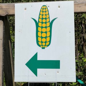 Seed Industry Leaders to Analyze Plan México, USMCA Challenges