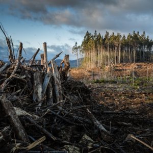 PAHO, CDRI Partner to Strengthen Health Infrastructure