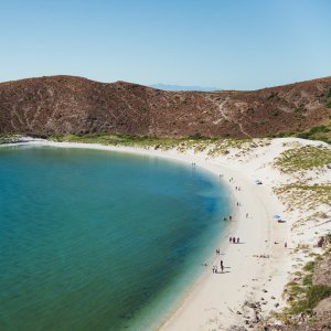 Activists Urge Mexico to Halt LNG Projects in Gulf of California