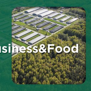 Mexican Peppers Could Soon Enter Japan: The Week in Agribusiness