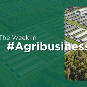 Congressional Report Backs Sustainability Metrics for Water