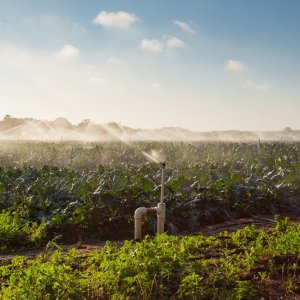CONAGUA Advances Irrigation Modernization