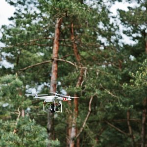 Drones Aid in Reforestation in Burned Michoacan Forests