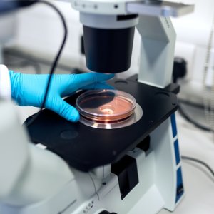 Pew Program Funds Latin American Biomedical Scientists