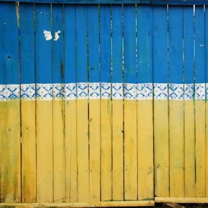 Trump, Putin Confirm Alaska Summit to Discuss Ukraine